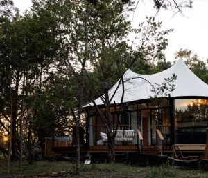 sage-safari-outdoor-gallery-6