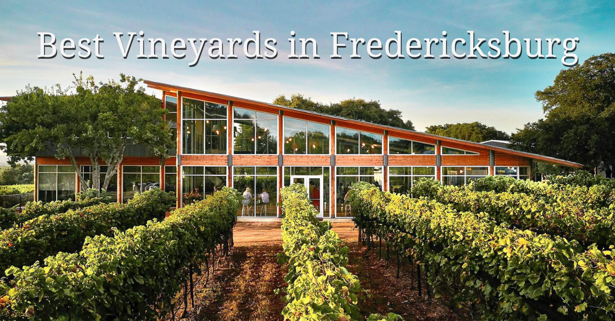Best Vineyards in Fredericksburg