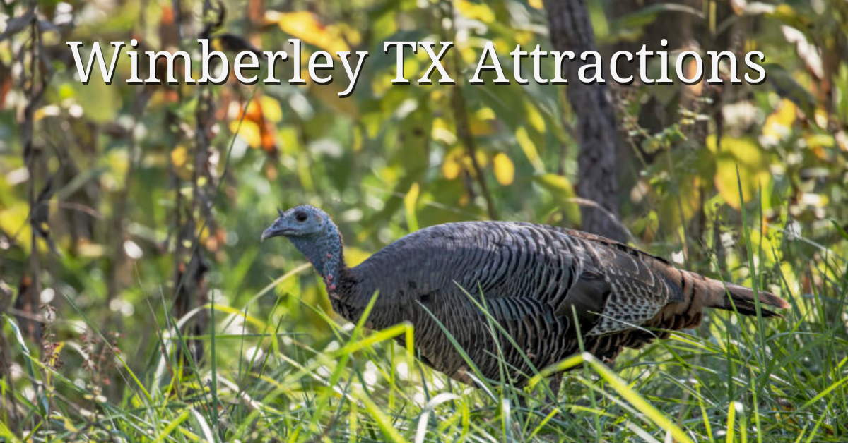 Wimberley TX Attractions