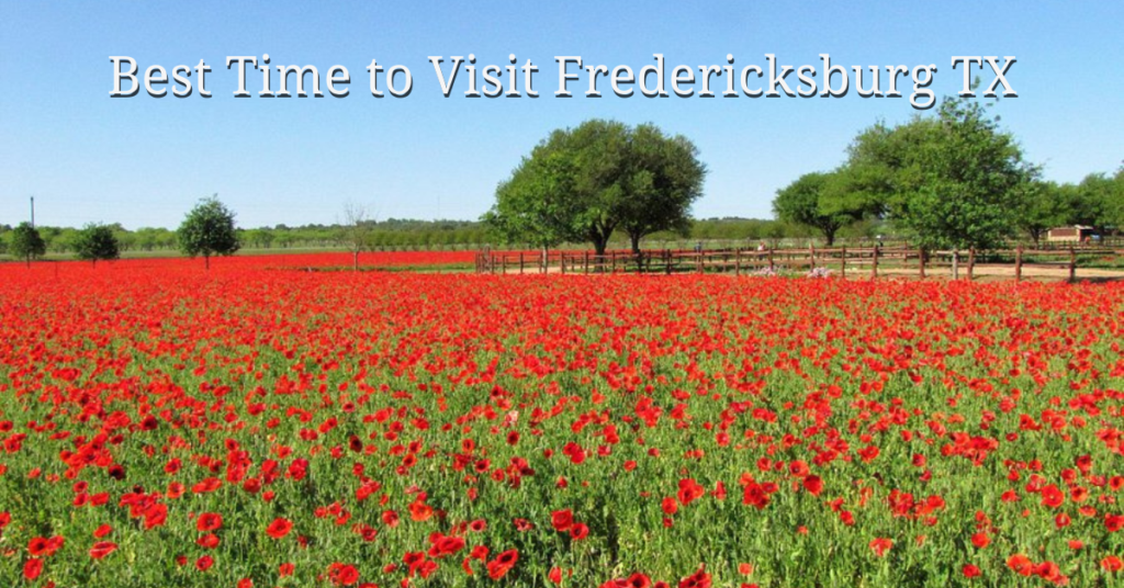 Best Time to Visit Fredericksburg TX