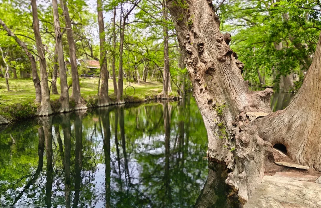 Blue Hole Park Trail Loop