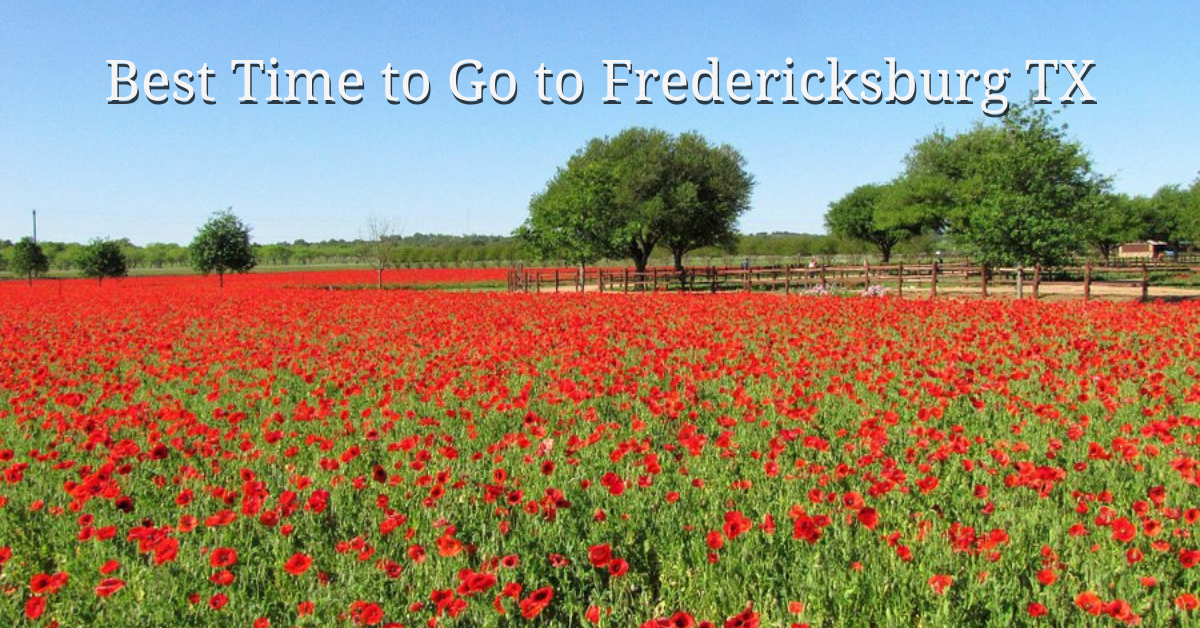 Best Time to Go to Fredericksburg TX
