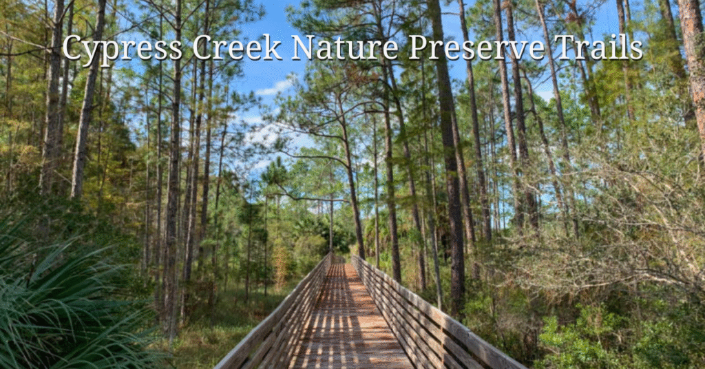 cypress creek nature preserve trails