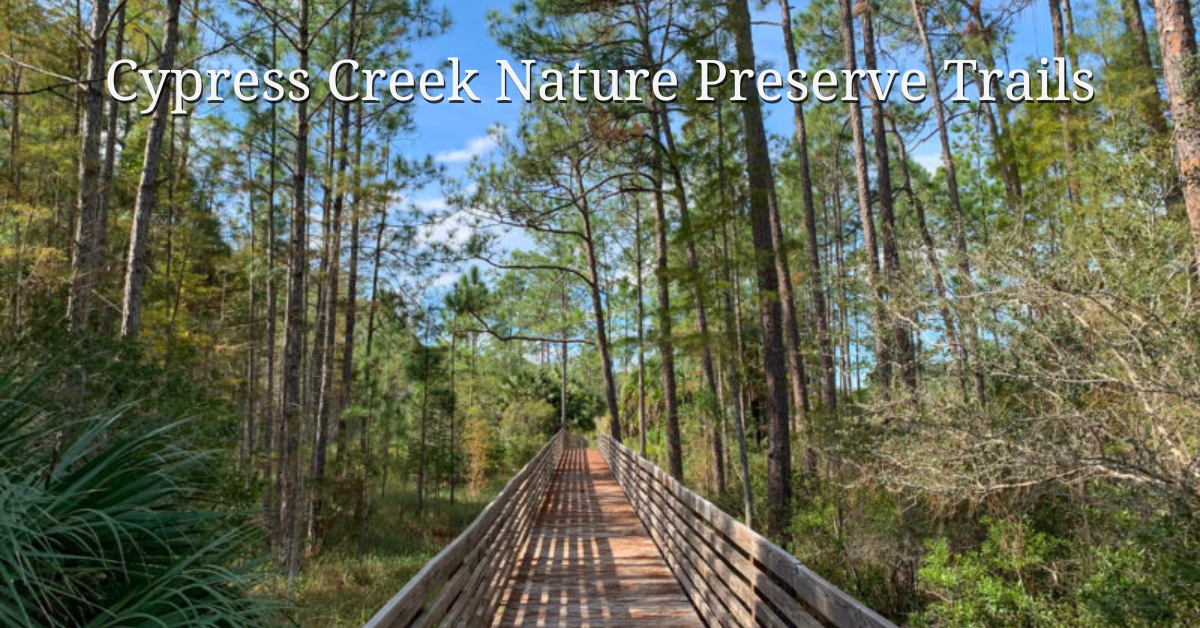 cypress creek nature preserve trails
