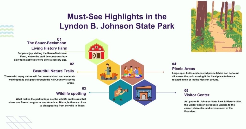 Must-See Highlights in the Lyndon B. Johnson State Park