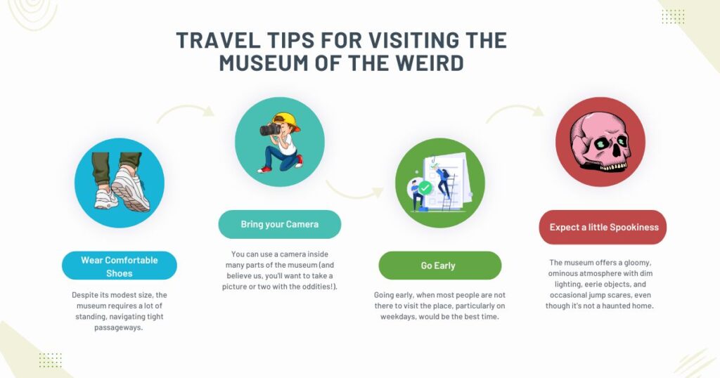 Travel Tips for Visiting the Museum of the Weird Austin Texas