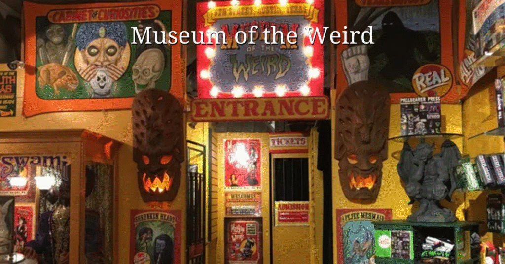 Museum of the Weird