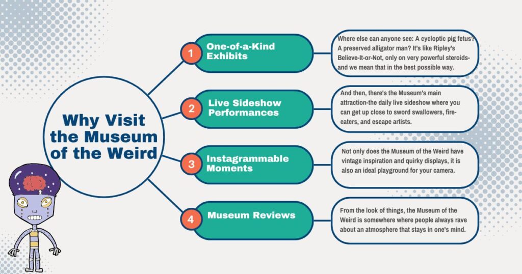 Why Visit the Museum of the Weird Austin TX