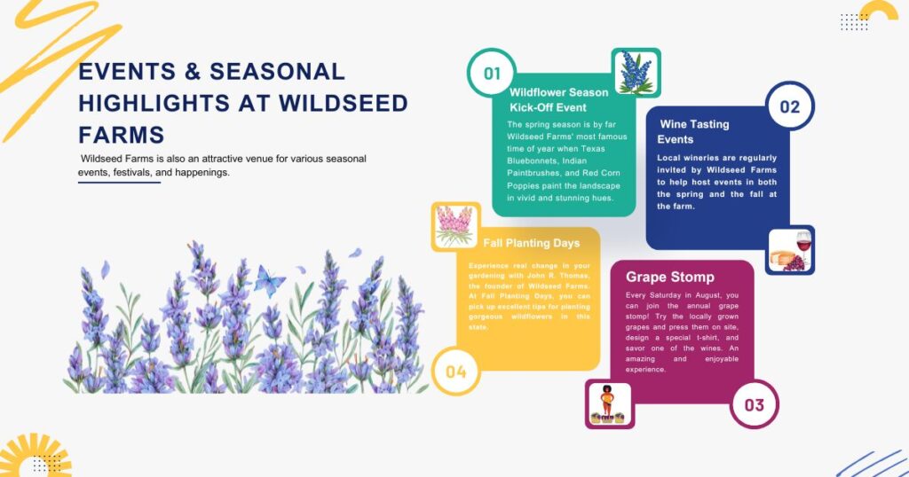 Events & Seasonal Highlights at Wildseed Farms TX