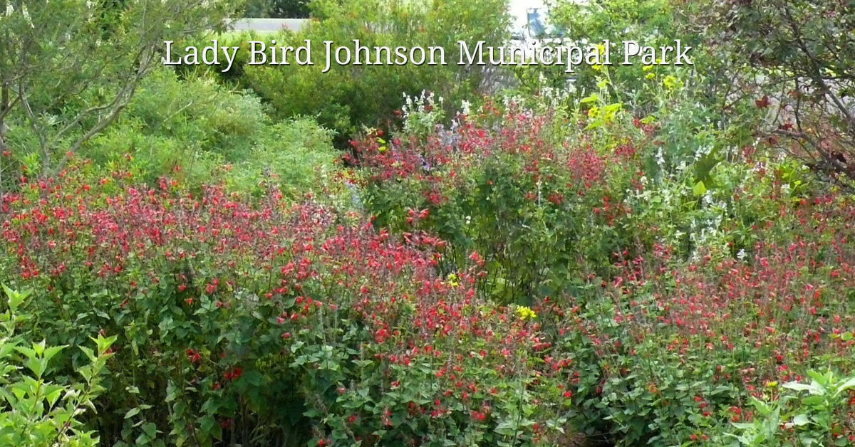 Lady Bird Johnson Municipal Park