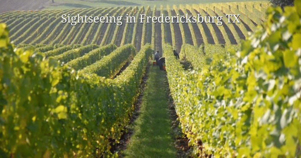 Sightseeing in Fredericksburg TX