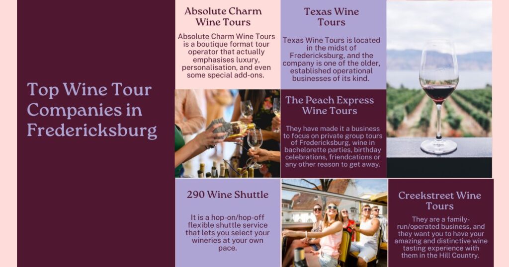 Best Wine Tour Companies in Fredericksburg for Couples