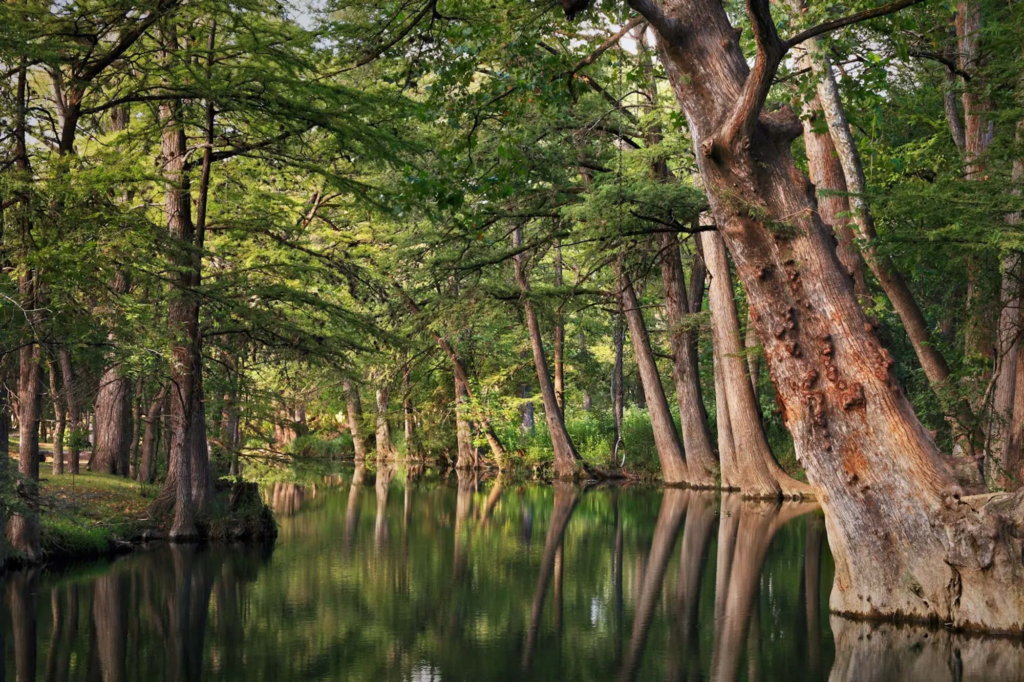 Morning: Blue Hole Regional Park