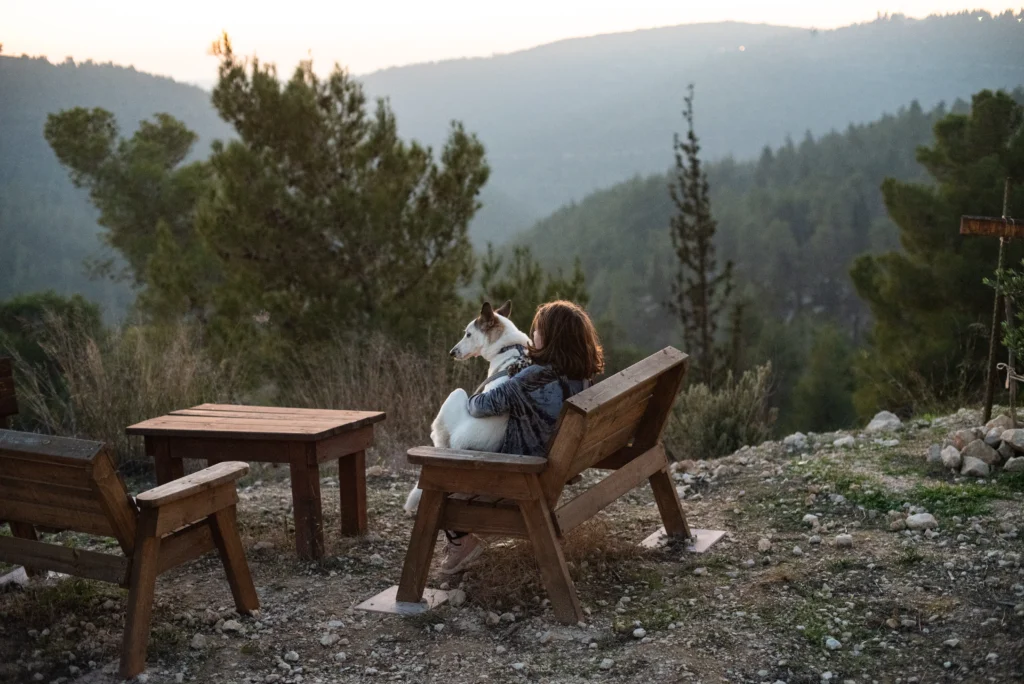 Pet-Friendly Cabin Stays