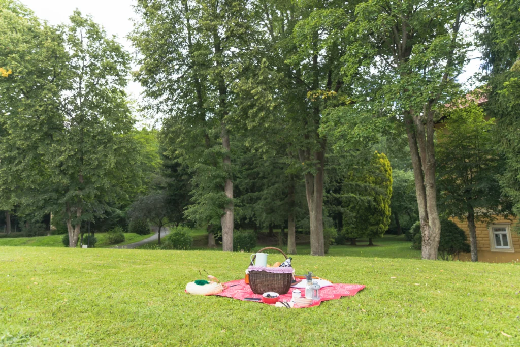 picnic basket in grass field