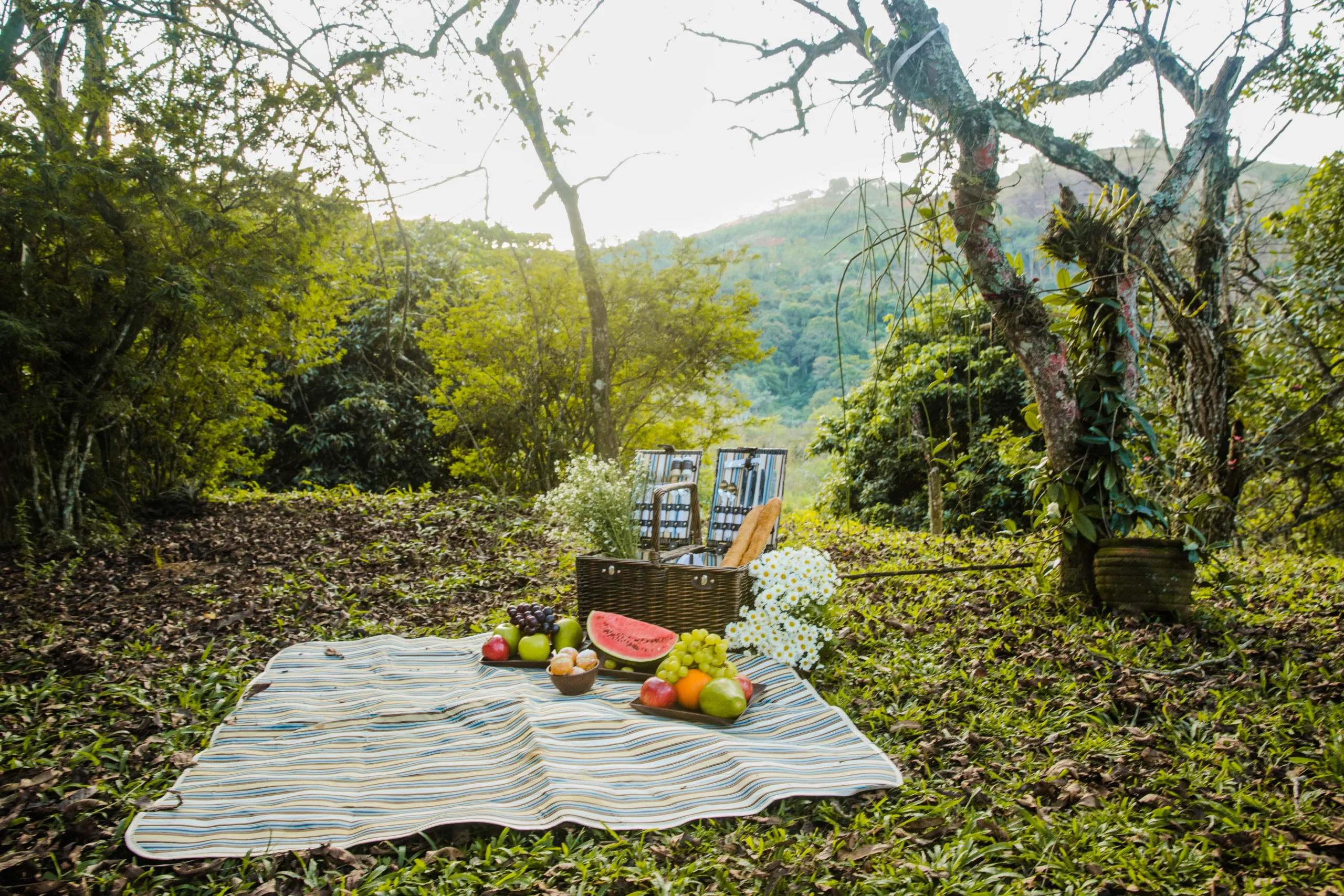 picnic areas in countryside