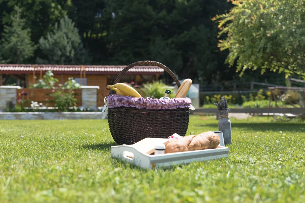 tray basket with fresh food