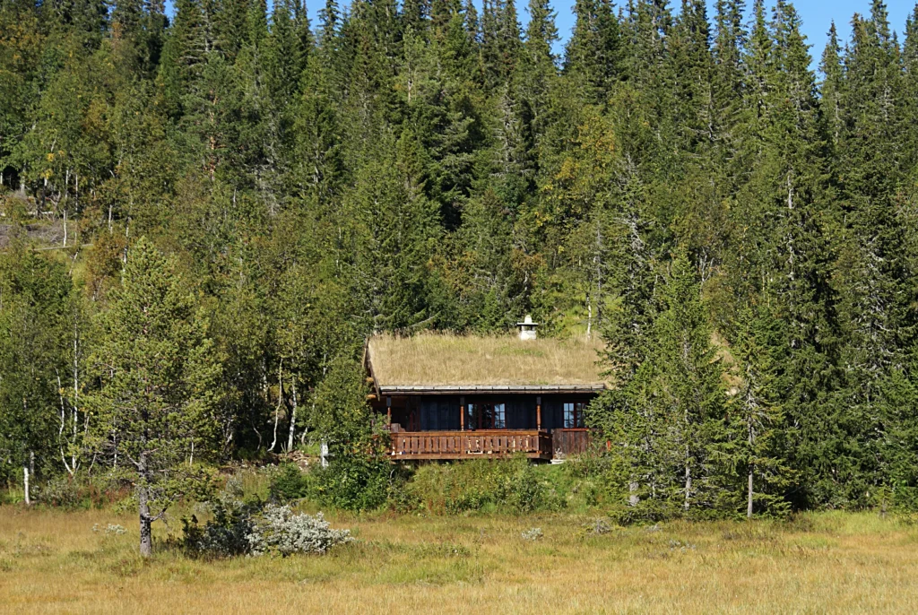 private cabin surrounded by trees