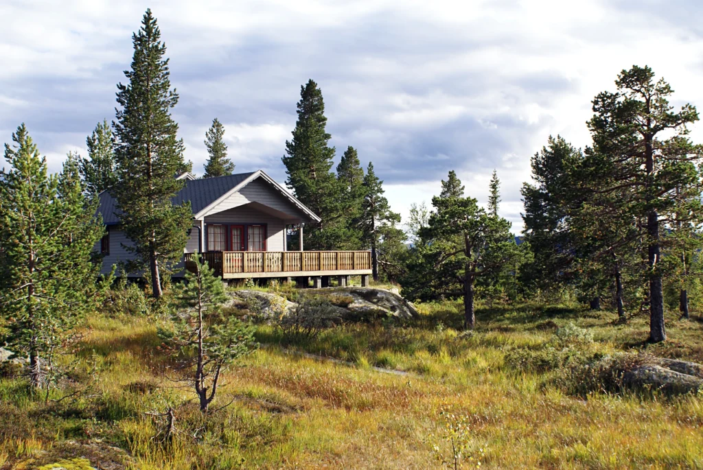 private cabin surrounded by trees